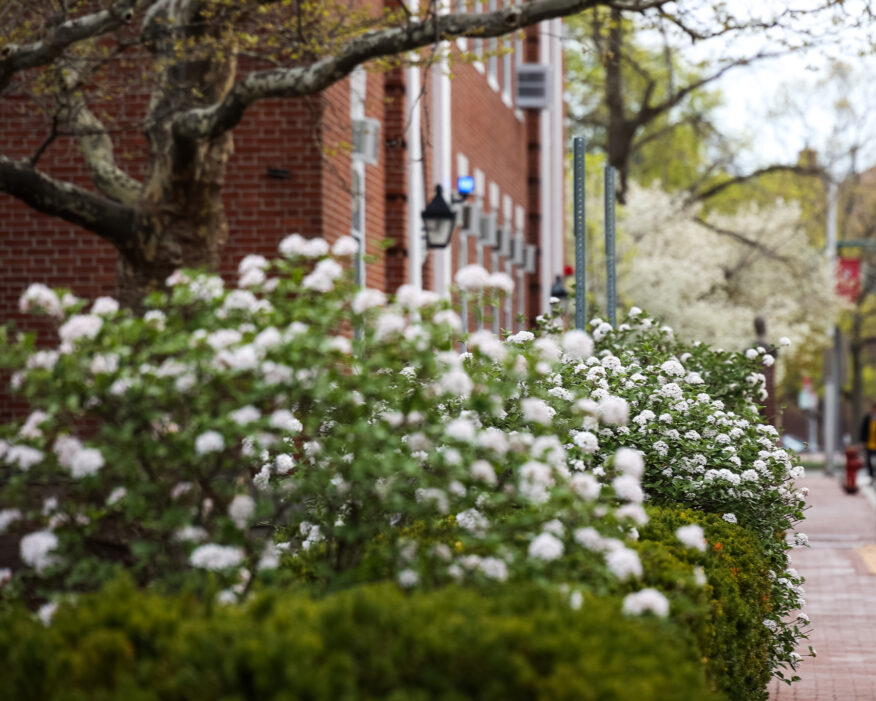 2023_Harvard Spring Campus Beauty-03