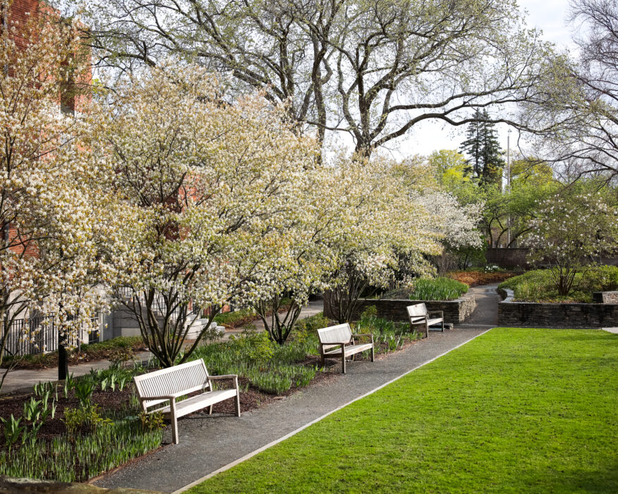 2023_Harvard Spring Campus Beauty-09