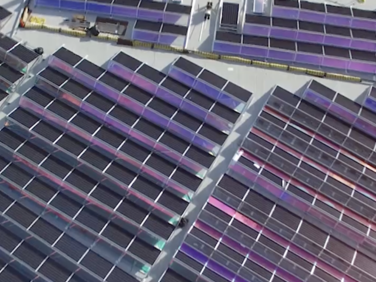 Solar Panels at Harvard.