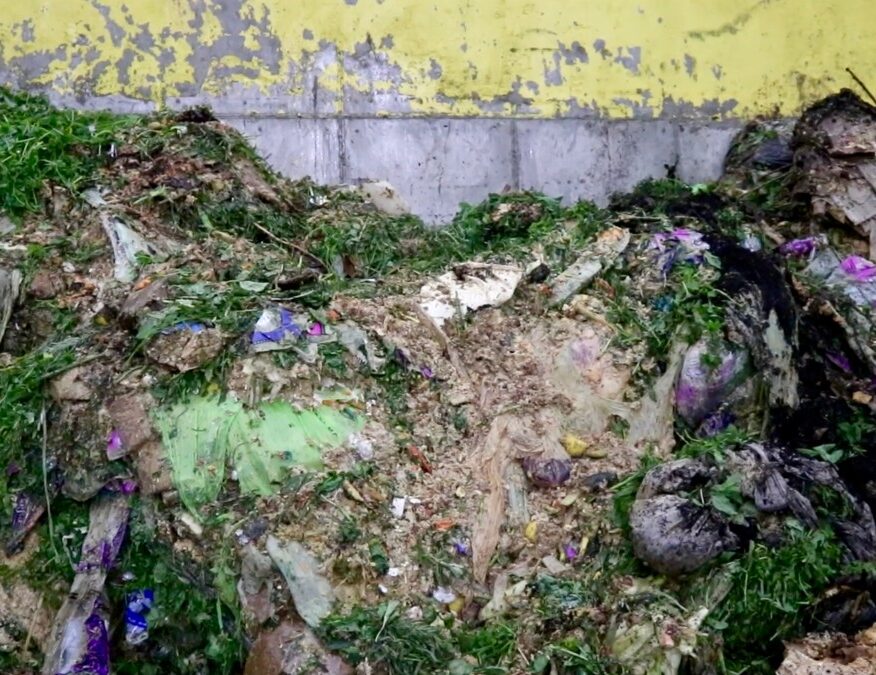 Save that Stuff trucks deposit collected organic waste on the warehouse floor.