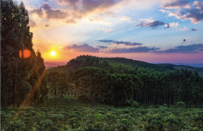 Image of a landscape
