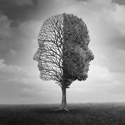 Digital picture of a tree with two faces