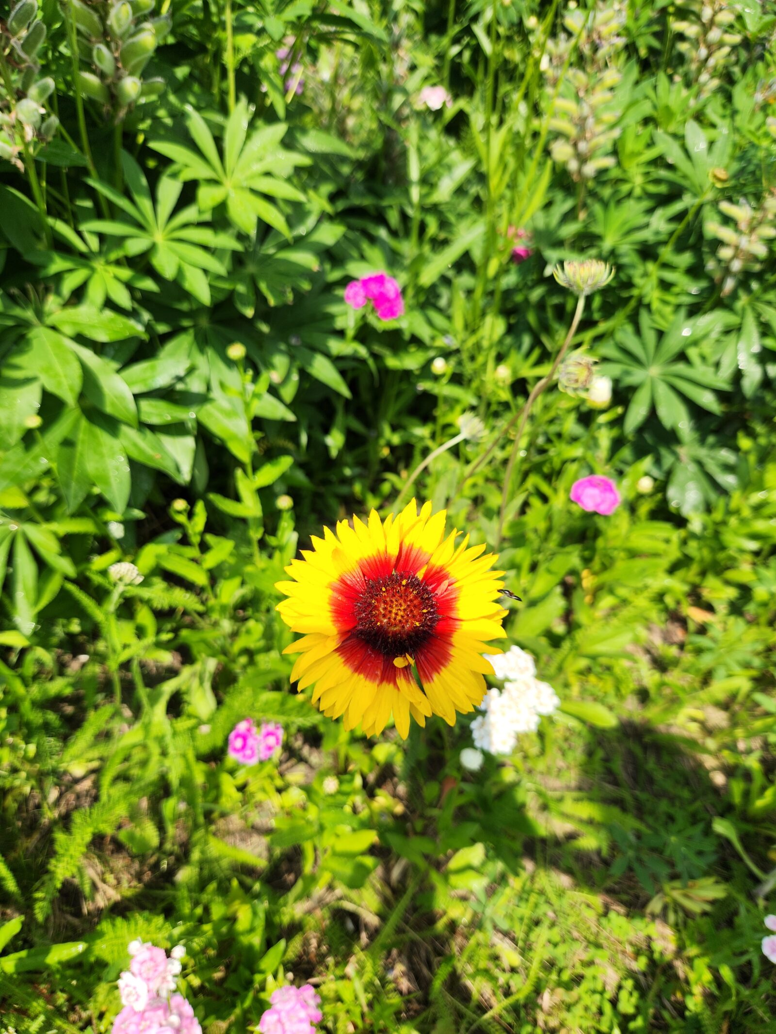 Yellow-Orange Flower Batten